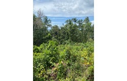 59 FRASER CRESCENT, COOPERS unit: Lot, Red Hills, St. Andrew