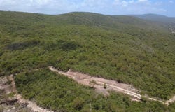 GREENSIDE, Greenside, Trelawny