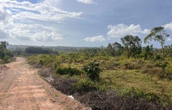 XFHV+MWV, Knockpatrick, Jamaica, Knockpatirck, Manchester Parish