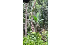 AIRY CASTLE, WARD RIVER,, AIRY CASTLE, St. Thomas