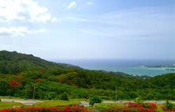 98 READING HEIGHTS, Montego Bay, St. James