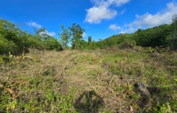 Lot 141 BOSCOBEL HEIGHTS LOT 141, Boscobel, St. Mary
