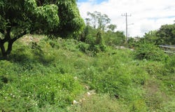 RED HILLS ROAD, FOREST HI unit: 4, Red Hills, St. Andrew