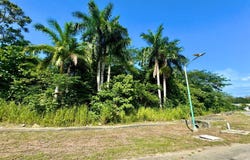 DRAX HALL ESTATE unit: 316, Drax Hall Estate, St. Ann