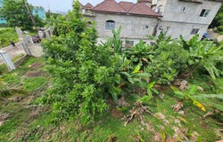 WHITEHALL, NEGRIL, Negril, Westmoreland