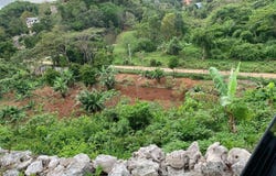 MAVERLEY MOUNTAIN, Red Hills, St. Andrew