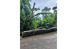 ULSTER SPRING, Ulster Spring, Trelawny