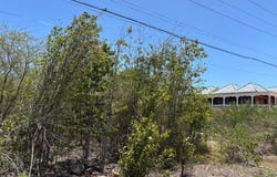 TREADLIGHT, May Pen, Clarendon