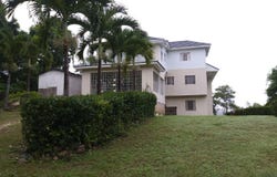 CEDARS MOCHO, Mocho, Clarendon