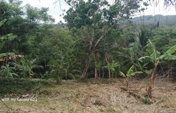 Lot 6 NEW RAMBLE, FREE HILL P.O, Free Hill, St. Mary