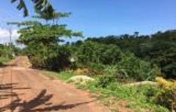 MANGO VALLEY, ST. MARY, Boscobel, St. Mary
