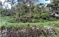 LAND PART OF PETERSVILLE, Petersville, Westmoreland
