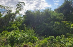 364 CULLODEN, Culloden, Westmoreland