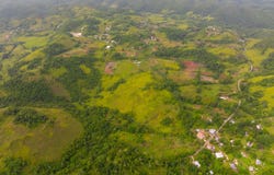MAMMEE RIDGE, HIGGIN TOWN, ST. ANN, Claremont, St. Ann