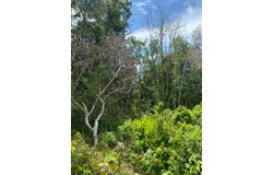 59 FRASER CRESCENT, COOPERS unit: Lot, Red Hills, St. Andrew