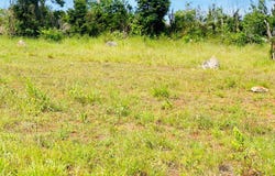 LOT 63 MALVERN HEIGHTS, Malvern, St. Elizabeth