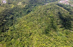 2 ROCKY HILL, Boscobel, St. Mary