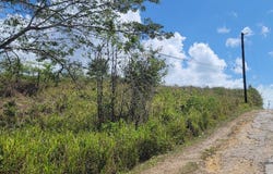 Lot 2 Hanover Green Island, Green Island, Hanover Parish, Green Island, Hanover Parish
