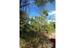 PUIE DRIVE, CARDIFF HALL, Runaway Bay, St. Ann