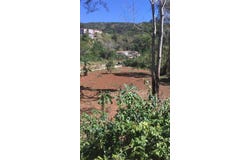 MAVERLEY MOUNTAIN, Red Hills, St. Andrew