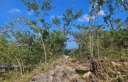 846 WHITEHALL, NEGRIL, Negril, Westmoreland
