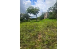 ELGIN DISTRICT, Malvern, St. Elizabeth