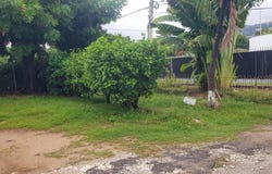 107 B BARBICAN ROAD, KINGSTON., Kingston 8, St. Andrew