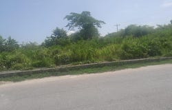 HODGES, BLACK RIVER, Fyffes Pen, St. Elizabeth