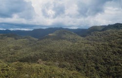 ANGLESEA PEN, CAVE P.O,, Cave, Westmoreland