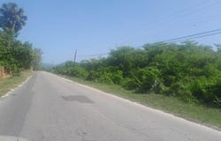 HODGES, BLACK RIVER, Fyffes Pen, St. Elizabeth