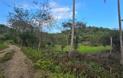 88 BRIXTON ROAD, JACKSON TOW, Jackson Town, Trelawny