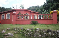 TRENAIL MAGGOTTY, Maggotty, St. Elizabeth