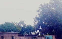 101 HAUGHTON COURT unit: Lot, Lucea, Hanover