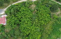 12 PETER'S ROCK, ST. ANDREW, Kingston 6, St. Andrew