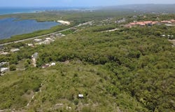 GREENSIDE, Greenside, Trelawny
