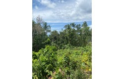 59 FRASER CRESCENT, COOPERS unit: Lot, Red Hills, St. Andrew