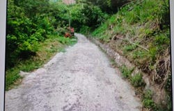 MARYLAND, JACKSHILL, ST., Kingston 6, St. Andrew
