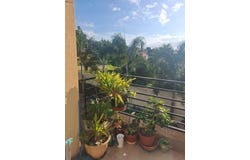 6 HAPPY GROVE RD, Kingston 19, St. Andrew