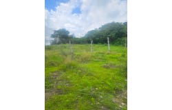 ELGIN DISTRICT, Malvern, St. Elizabeth