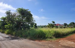 TOP HILL, Top Hill, St. Elizabeth