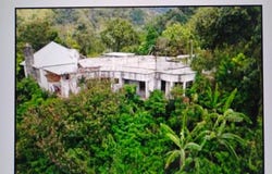 MARYLAND, JACKSHILL, ST., Kingston 6, St. Andrew