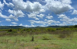 TREADLIGHT, May Pen, Clarendon