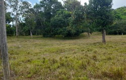 Aberdeen HUNTLEY, Aberdeen Heights, St. Ann