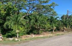 40 EDINBURGH AVENUE, Ironshore, St. James