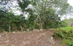 Lot 7 GOLDEN SPRING ESTATES, Lime Hall, St. Ann