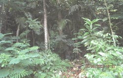 VALLEY CLOSE & PANTON CLO, Stony Hill P.O., St. Andrew