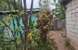 34 BALMAGIE, LOT 150 PENWOOD, Kingston 11, St. Andrew