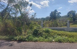 WINDSOR FOREST PEN, Darliston, Westmoreland