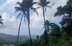 DIAMOND RIDGE, Buff Bay, Portland