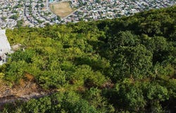 79 ELMWOOD DRIVE, PATRICK HE, Kingston 20, St. Andrew